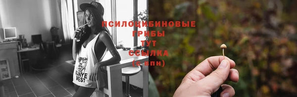 мяу мяу мука Алексеевка
