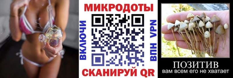 KRAKEN вход Ковылкино Псилоцибиновые грибы ЛСД